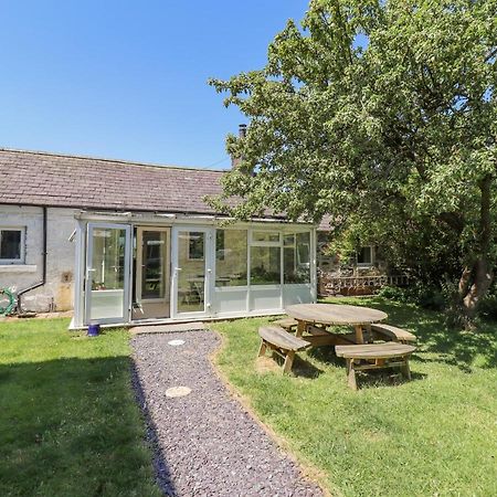 Dyffryn Bach Villa Rug Exteriör bild